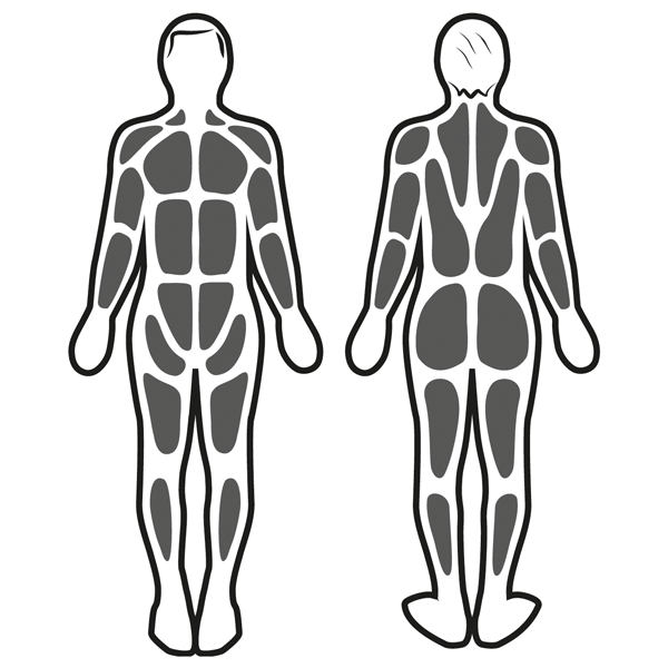 Stimulation musculaire